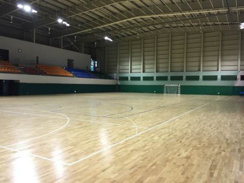 楓木運動地板廠家哪家好