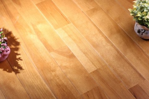 游泳世錦賽新聞多，中國鍵兒要挺住