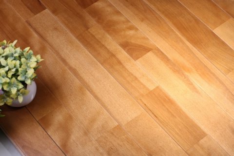 運(yùn)動(dòng)木地板秘備知識(shí)