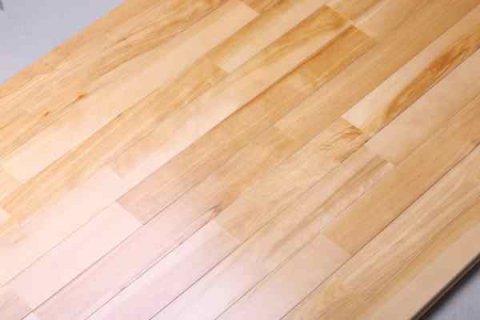 中國體育運動木地板發(fā)展趨勢強勁