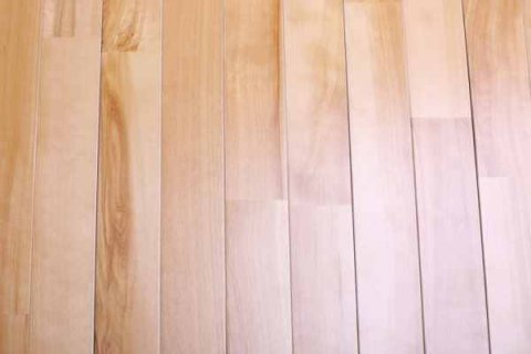 運動木地板采購需要考察的10個問題