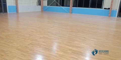 葫蘆島運動型地板