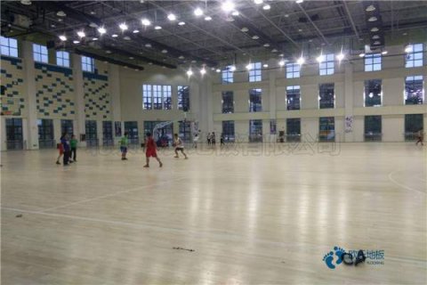 中國體育運(yùn)動木地板行業(yè)發(fā)展現(xiàn)狀