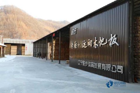 運動木地板面板材質和質量您清楚嗎