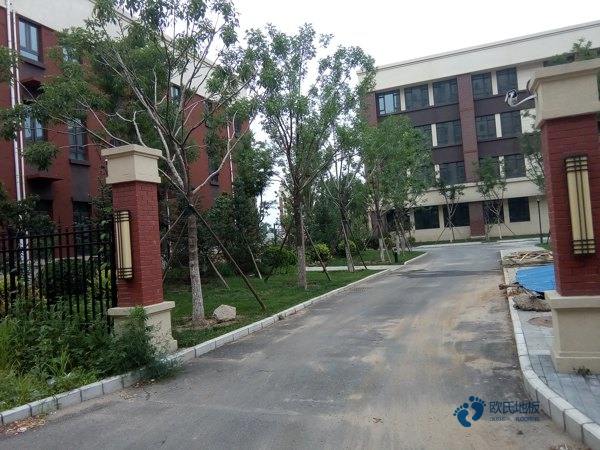 運(yùn)動(dòng)木地板翻新那些事您知道嗎