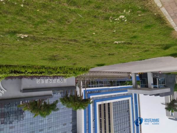 籃球場(chǎng)木地板采購(gòu)價(jià)格