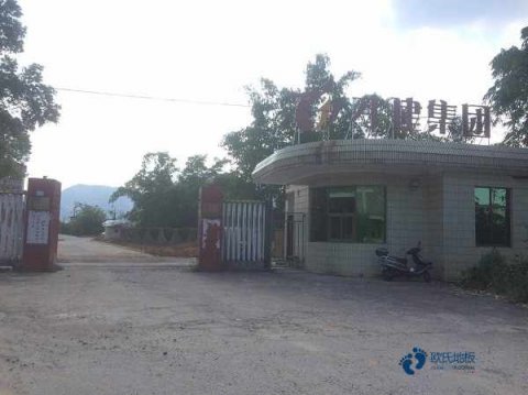 運動型木地板品牌