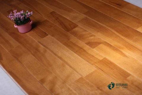 室內運動木地板翻新施工