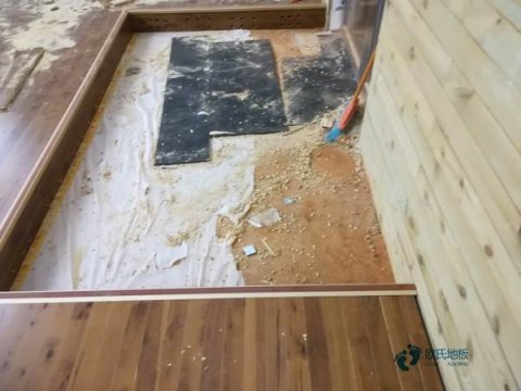 運動木地板博納品牌