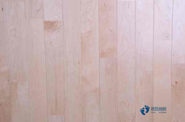 室內體育運動木地板3