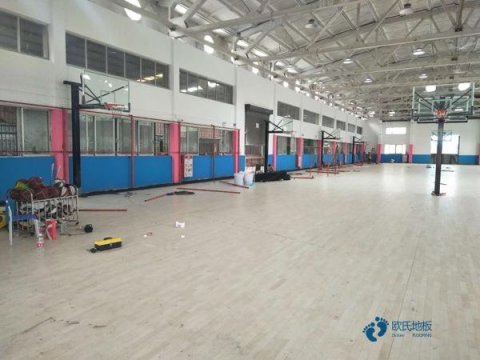 運動木地板品牌對比