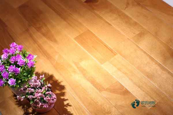 楓木地板鋪籃球室1