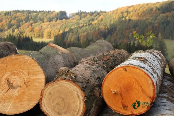 較好的運(yùn)動(dòng)籃球木地板每平米價(jià)格