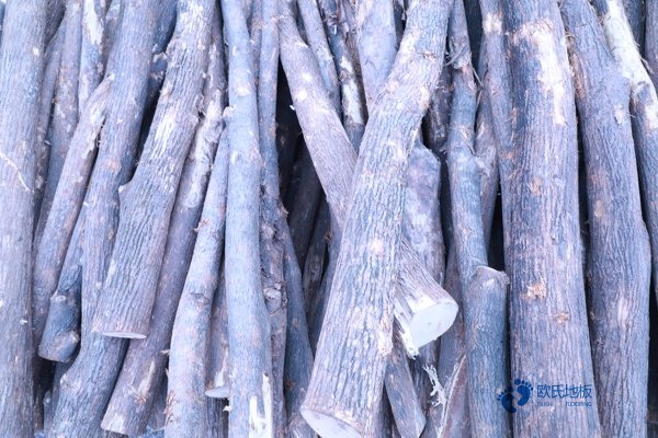 柞木運(yùn)動(dòng)籃球木地板價(jià)格是多少